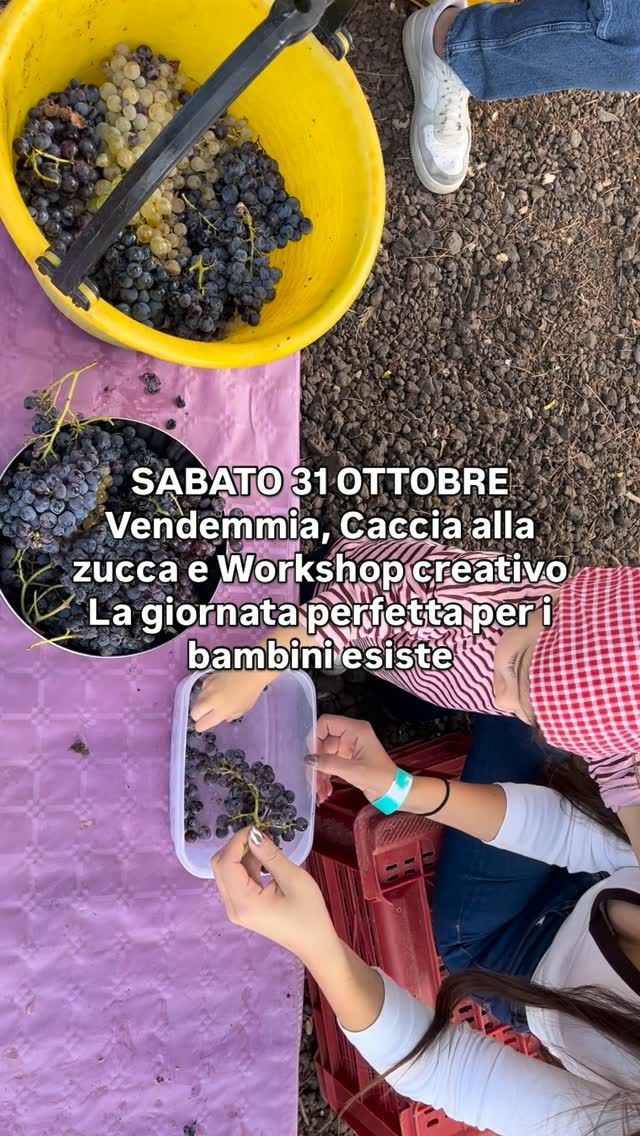 Locandina di Vendemmia, caccia alla zucca e pittura (edizione Halloween)